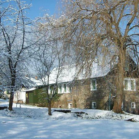 Apartman Dvorecna Loučovice Buitenkant foto