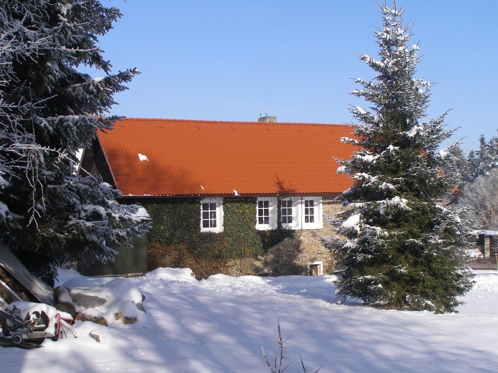 Apartman Dvorecna Loučovice Kamer foto