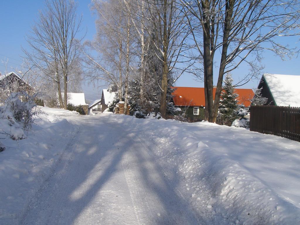 Apartman Dvorecna Loučovice Buitenkant foto