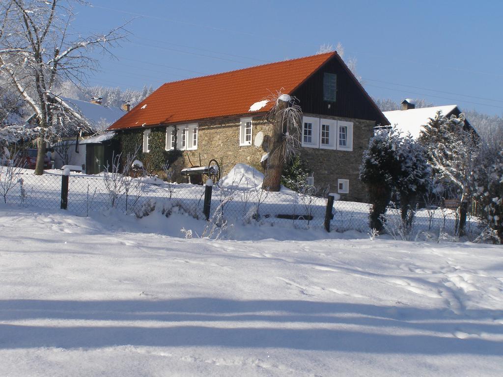 Apartman Dvorecna Loučovice Buitenkant foto