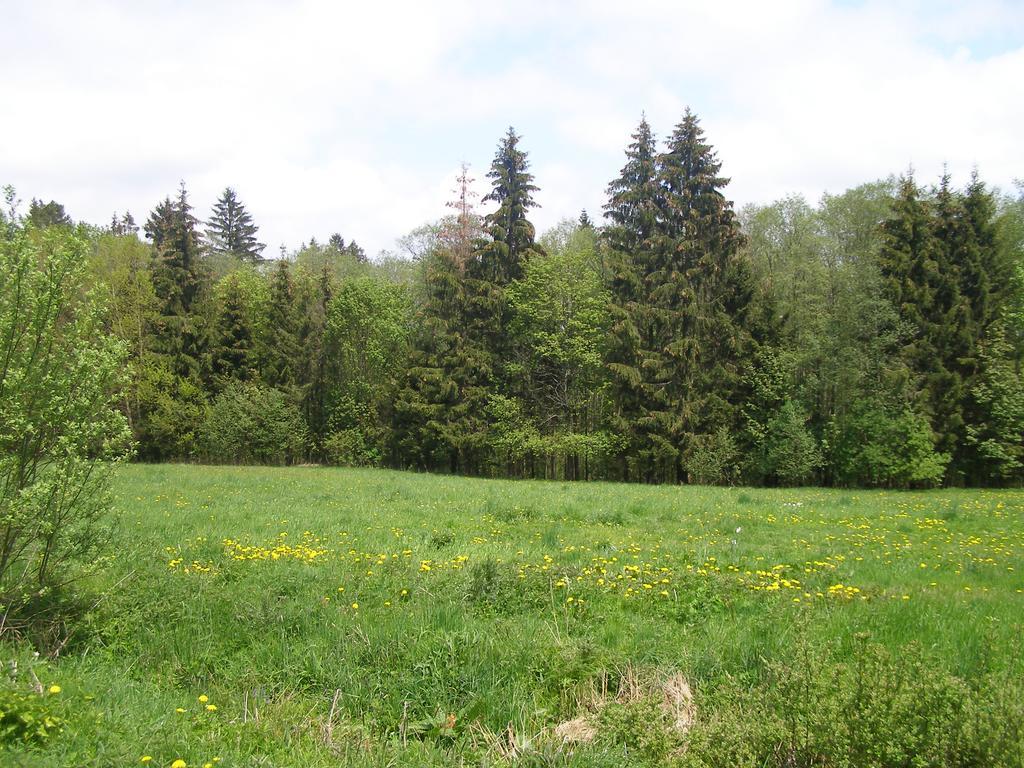 Apartman Dvorecna Loučovice Buitenkant foto