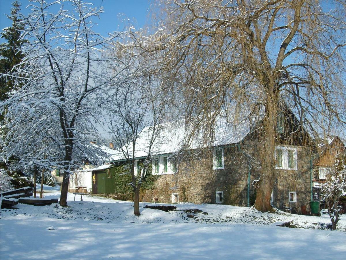 Apartman Dvorecna Loučovice Buitenkant foto