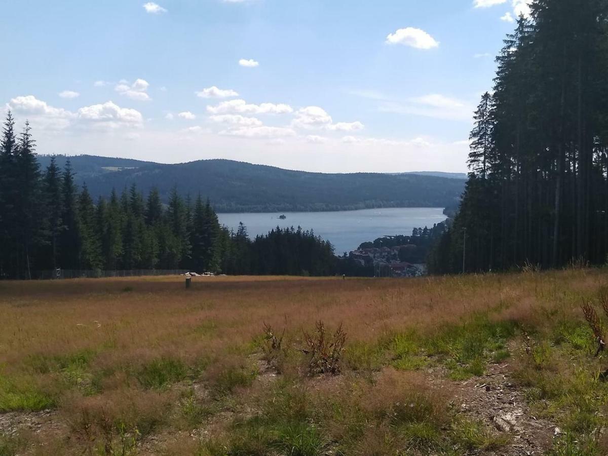 Apartman Dvorecna Loučovice Buitenkant foto